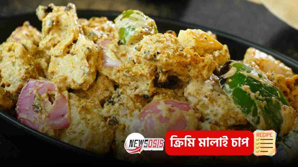 Malai Chaap Recipe